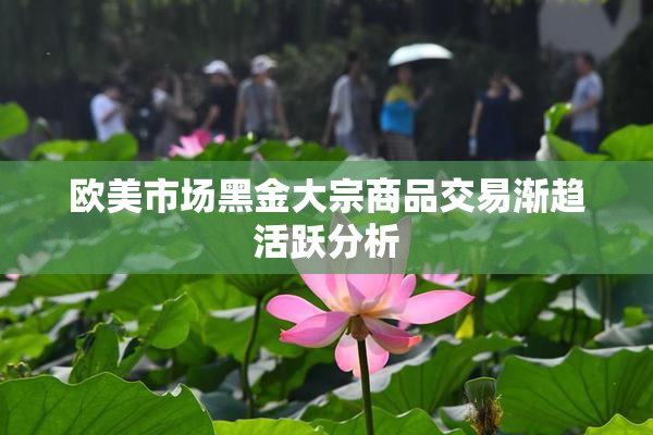 欧美市场黑金大宗商品交易渐趋活跃分析
