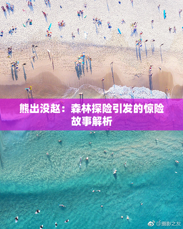 熊出没赵：森林探险引发的惊险故事解析