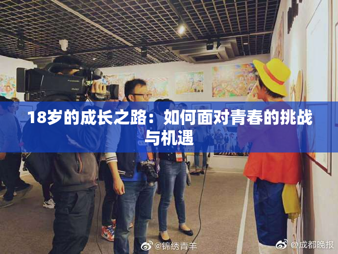 18岁的成长之路：如何面对青春的挑战与机遇