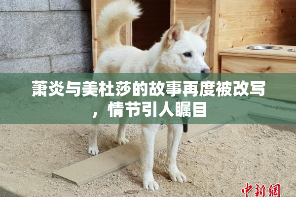 萧炎与美杜莎的故事再度被改写，情节引人瞩目