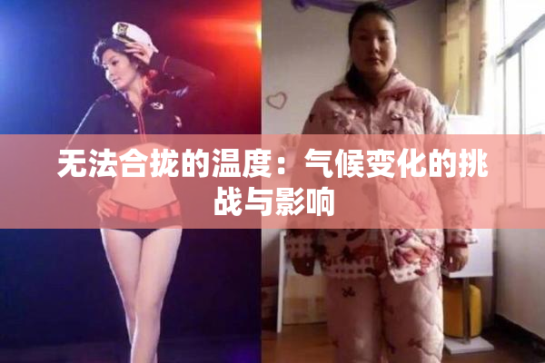 无法合拢的温度：气候变化的挑战与影响