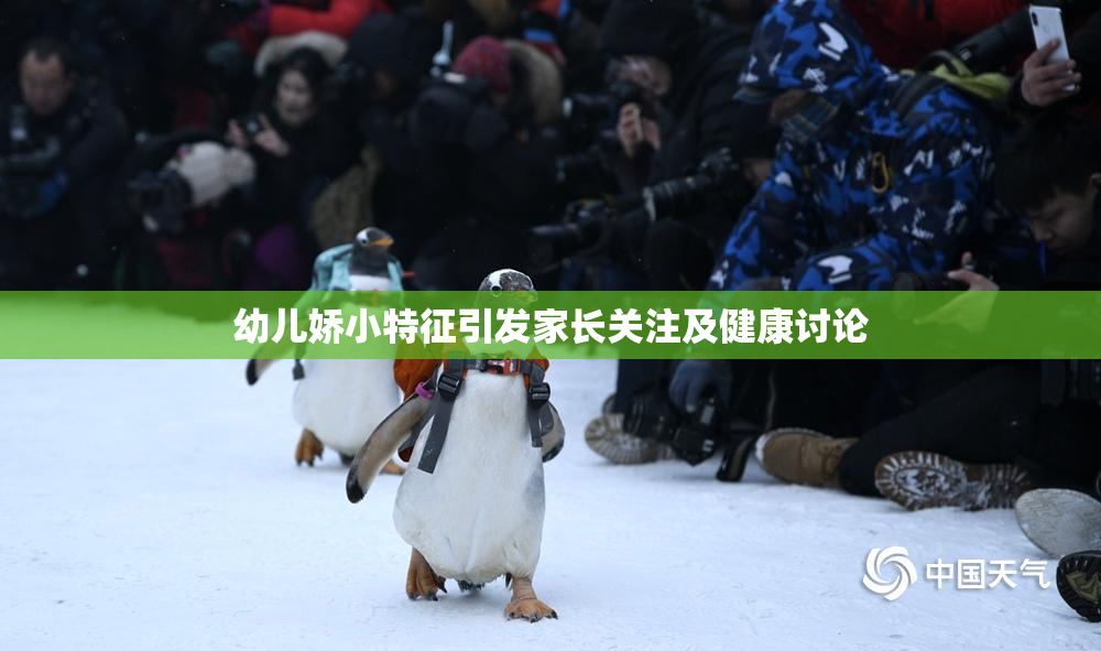 幼儿娇小特征引发家长关注及健康讨论