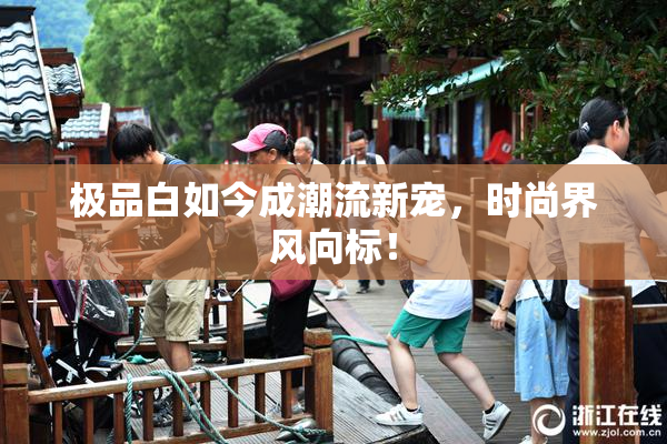 极品白如今成潮流新宠，时尚界风向标！
