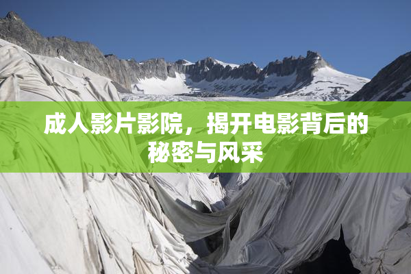 成人影片影院，揭开电影背后的秘密与风采