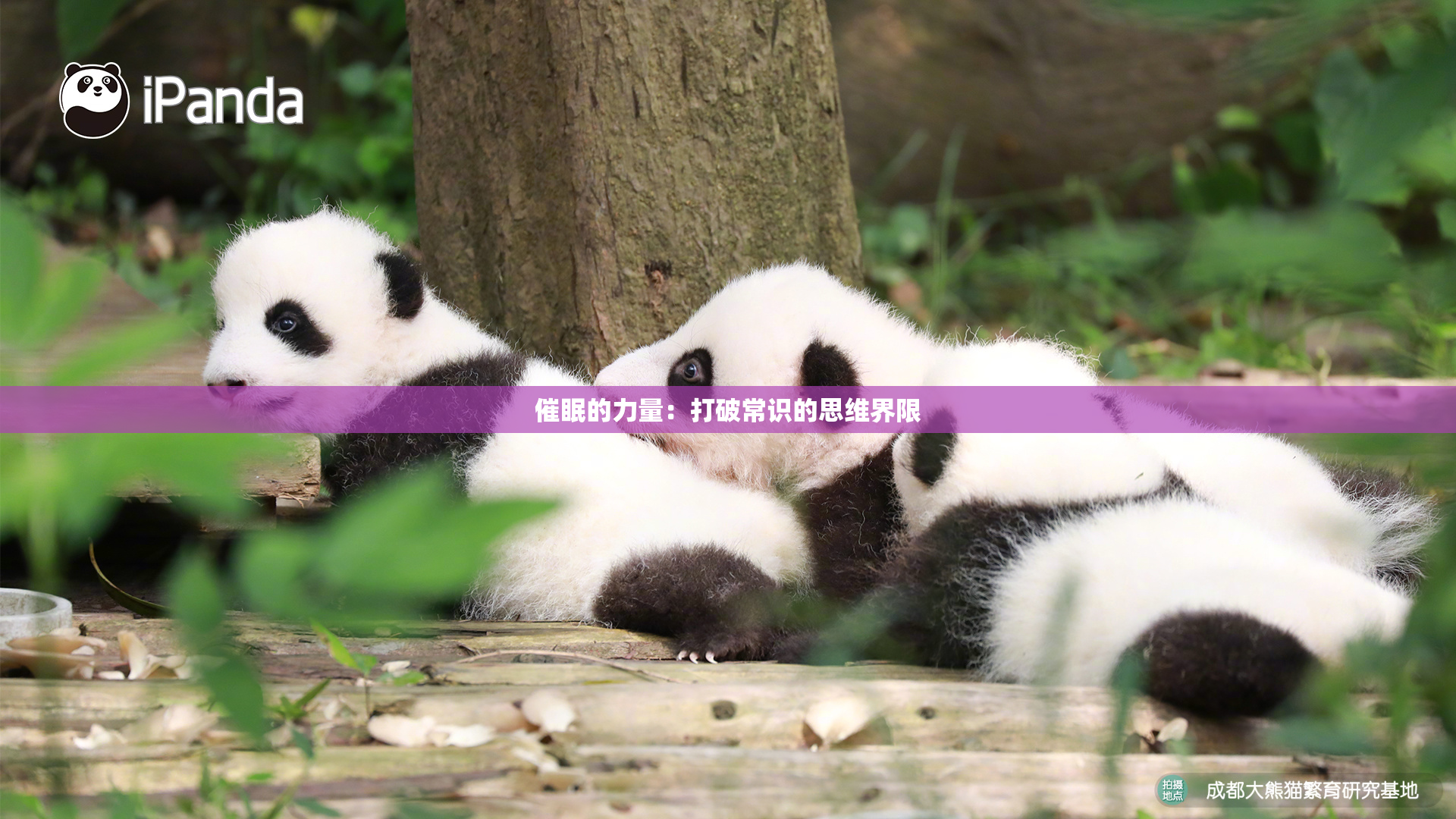 催眠的力量：打破常识的思维界限