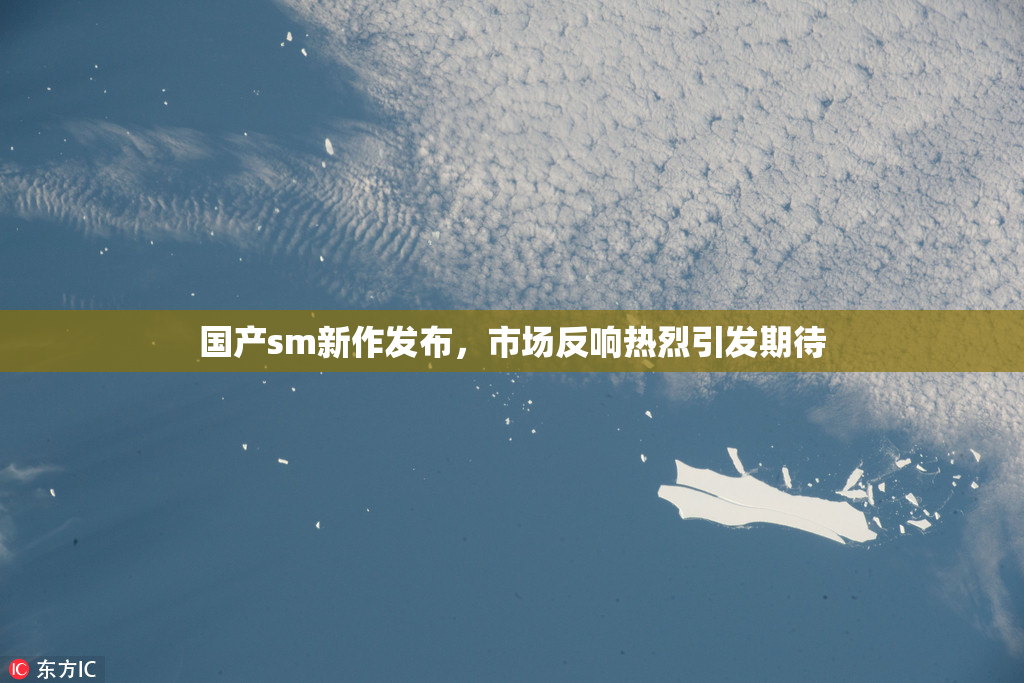 国产sm新作发布，市场反响热烈引发期待