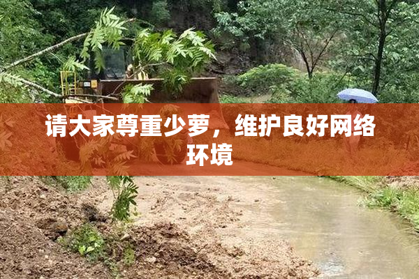 请大家尊重少萝，维护良好网络环境