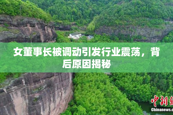 女董事长被调动引发行业震荡，背后原因揭秘