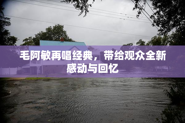 毛阿敏再唱经典，带给观众全新感动与回忆