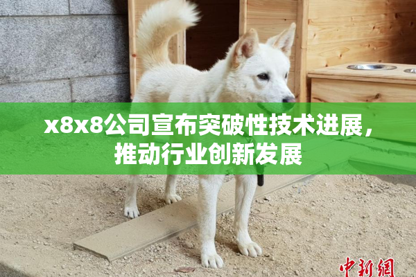 x8x8公司宣布突破性技术进展，推动行业创新发展