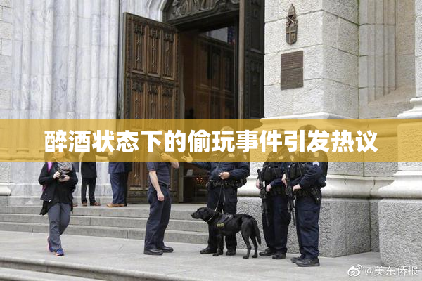 醉酒状态下的偷玩事件引发热议