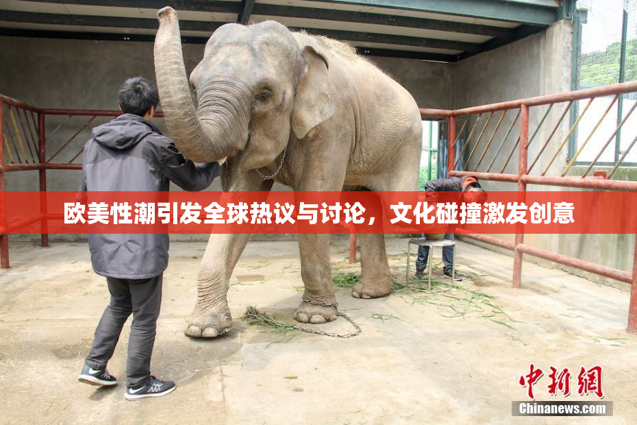 欧美性潮引发全球热议与讨论，文化碰撞激发创意