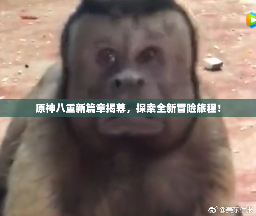 原神八重新篇章揭幕，探索全新冒险旅程！