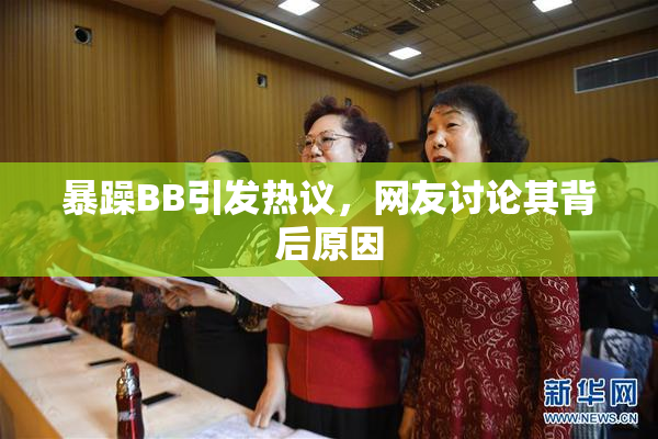 暴躁BB引发热议，网友讨论其背后原因