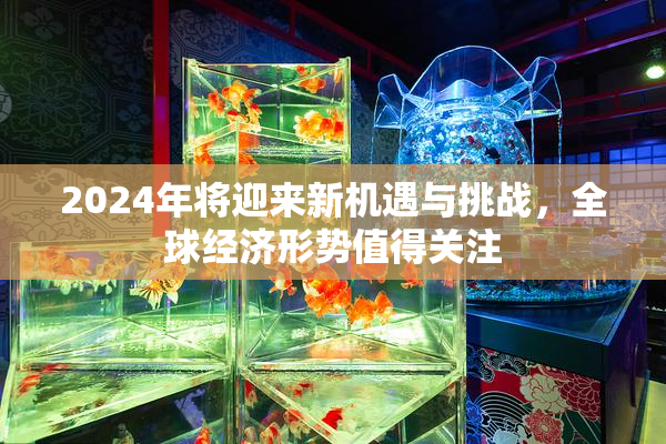 2024年将迎来新机遇与挑战，全球经济形势值得关注
