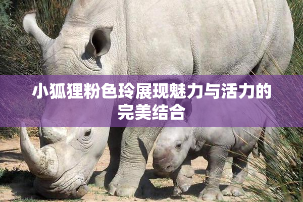 小狐狸粉色玲展现魅力与活力的完美结合