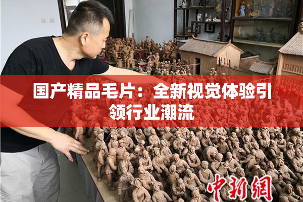 国产精品毛片：全新视觉体验引领行业潮流