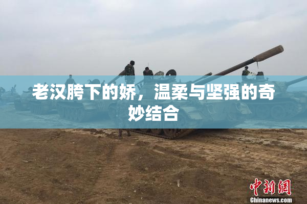老汉胯下的娇，温柔与坚强的奇妙结合