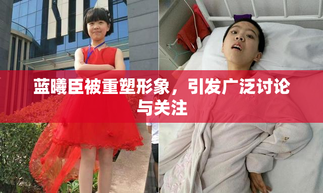 蓝曦臣被重塑形象，引发广泛讨论与关注