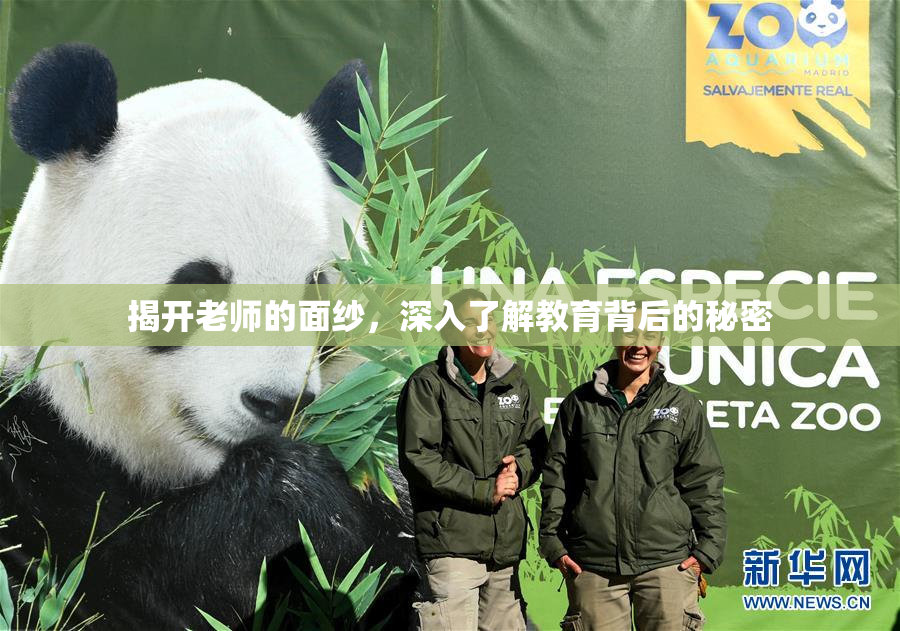 揭开老师的面纱，深入了解教育背后的秘密