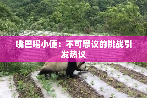 嘴巴喝小便：不可思议的挑战引发热议