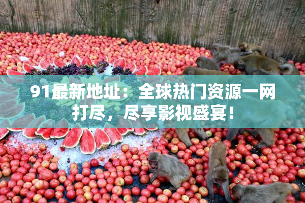 91最新地址：全球热门资源一网打尽，尽享影视盛宴！