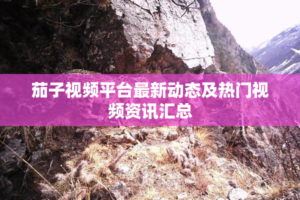 茄子视频平台最新动态及热门视频资讯汇总