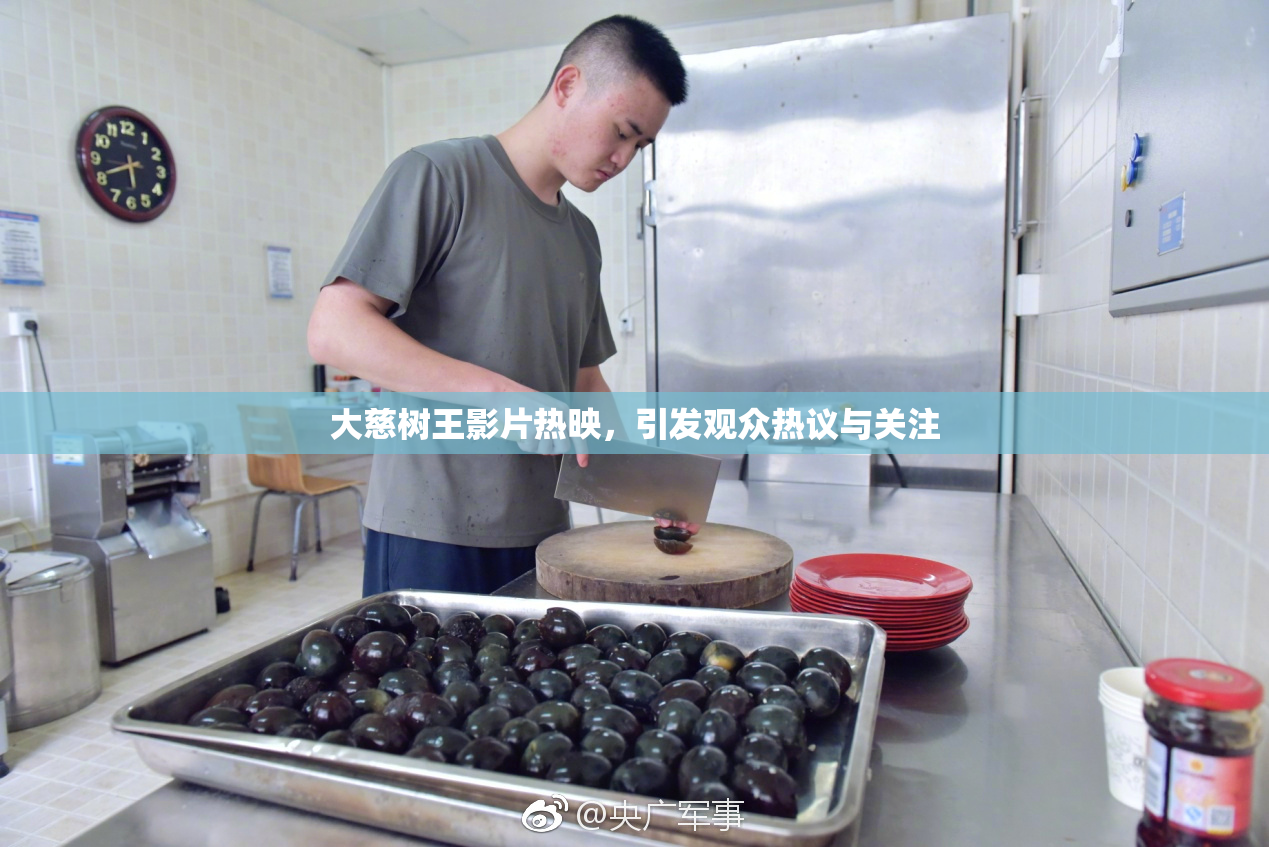 大慈树王影片热映，引发观众热议与关注