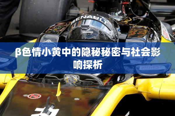 β色情小黄中的隐秘秘密与社会影响探析