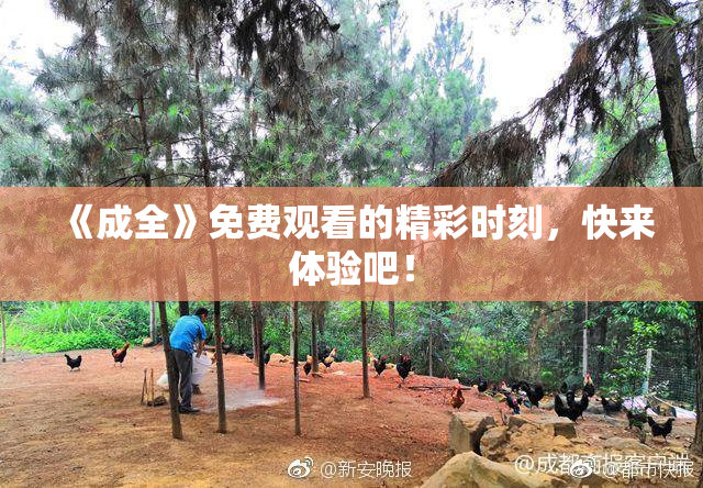 《成全》免费观看的精彩时刻，快来体验吧！