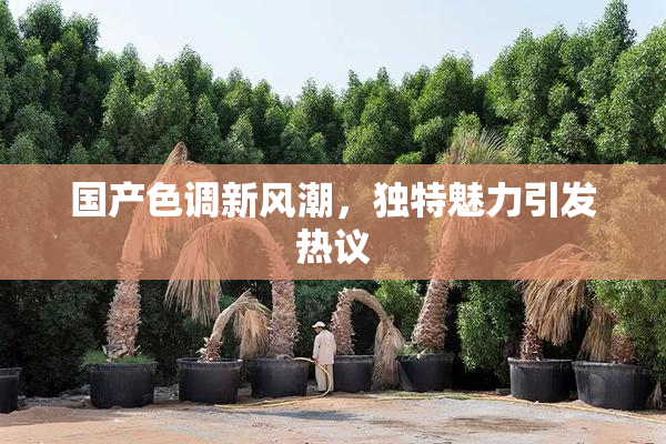国产色调新风潮，独特魅力引发热议