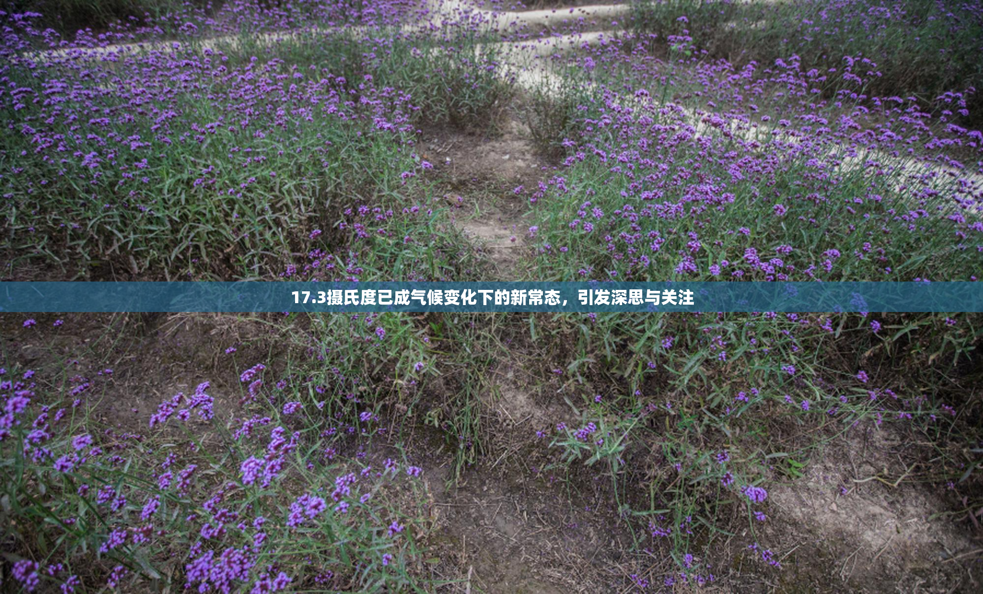 17.3摄氏度已成气候变化下的新常态，引发深思与关注