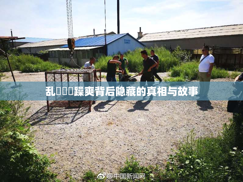 乱婬妺妺躁爽背后隐藏的真相与故事