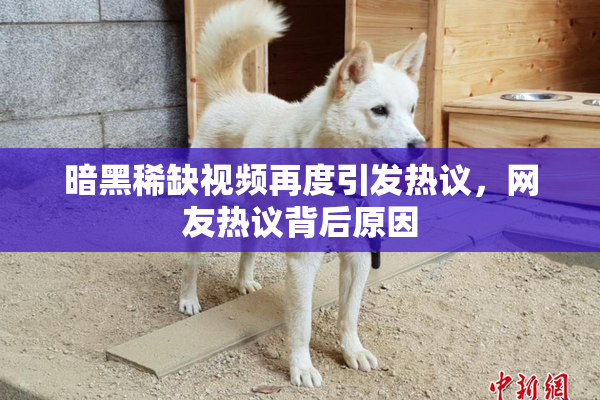 暗黑稀缺视频再度引发热议，网友热议背后原因