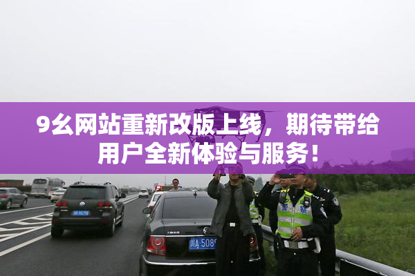 9幺网站重新改版上线，期待带给用户全新体验与服务！