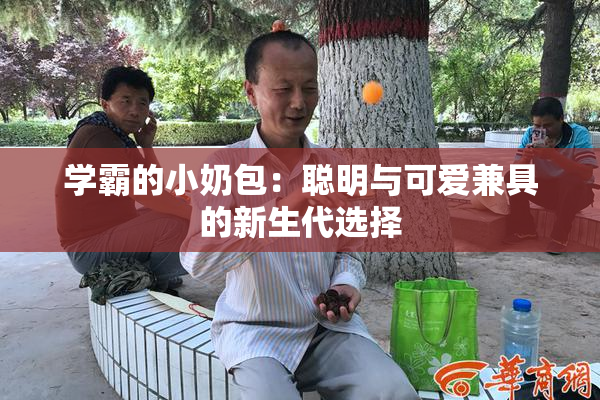 学霸的小奶包：聪明与可爱兼具的新生代选择