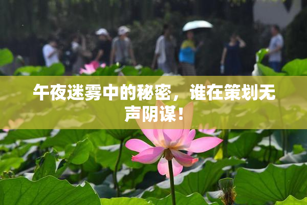 午夜迷雾中的秘密，谁在策划无声阴谋！