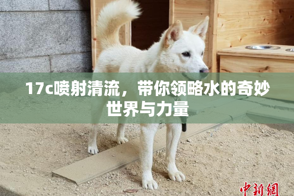 17c喷射清流，带你领略水的奇妙世界与力量