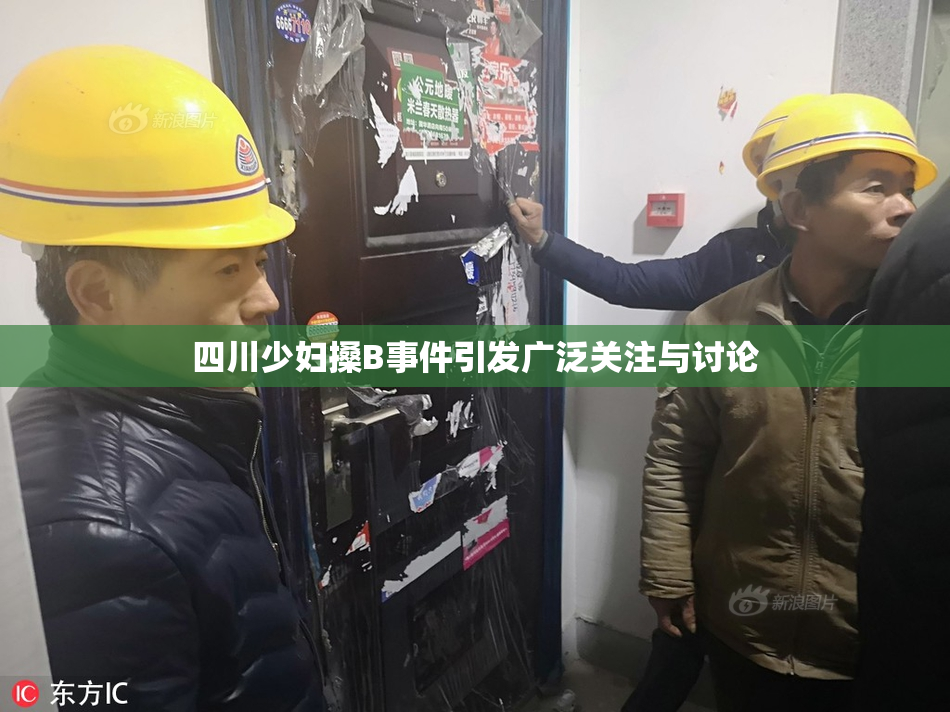 四川少妇搡B事件引发广泛关注与讨论