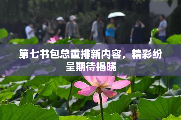 第七书包总重排新内容，精彩纷呈期待揭晓