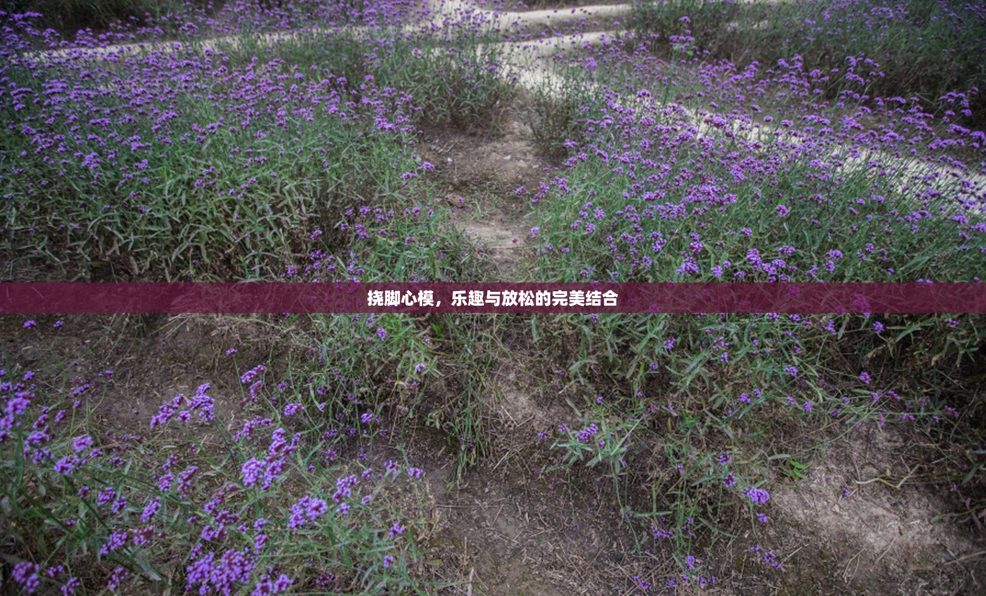 挠脚心模，乐趣与放松的完美结合