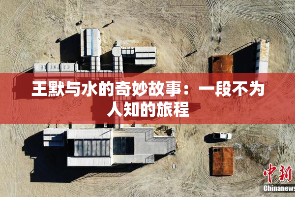 王默与水的奇妙故事：一段不为人知的旅程