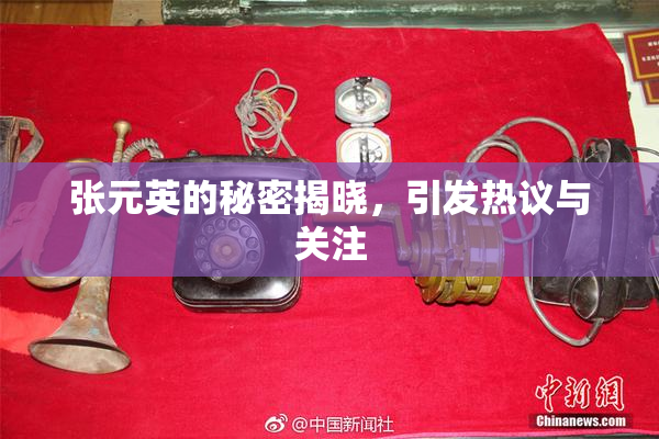 张元英的秘密揭晓，引发热议与关注