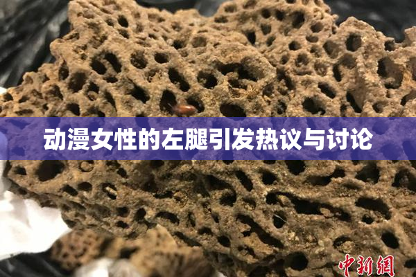 动漫女性的左腿引发热议与讨论
