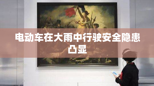 电动车在大雨中行驶安全隐患凸显