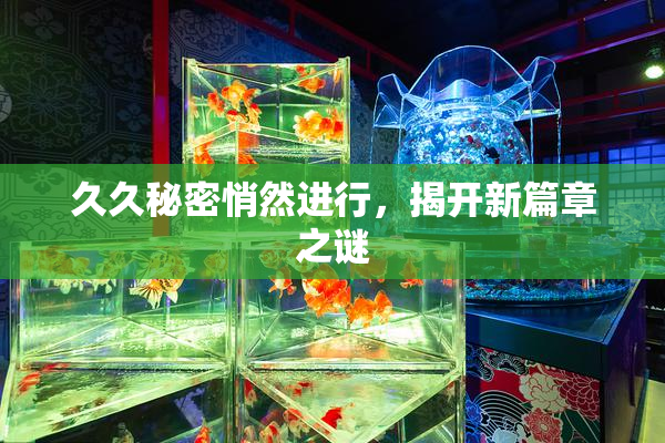 久久秘密悄然进行，揭开新篇章之谜