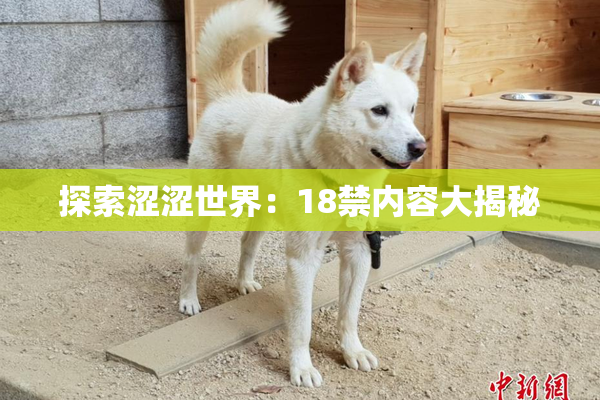 探索涩涩世界：18禁内容大揭秘