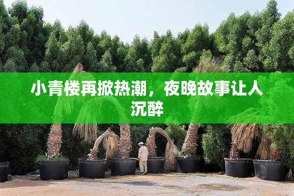 小青楼再掀热潮，夜晚故事让人沉醉
