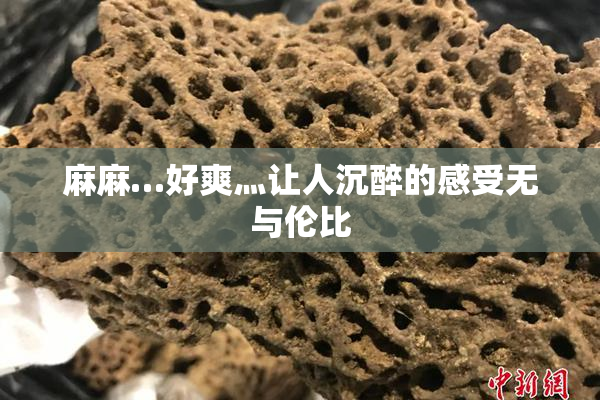 麻麻…好爽灬让人沉醉的感受无与伦比