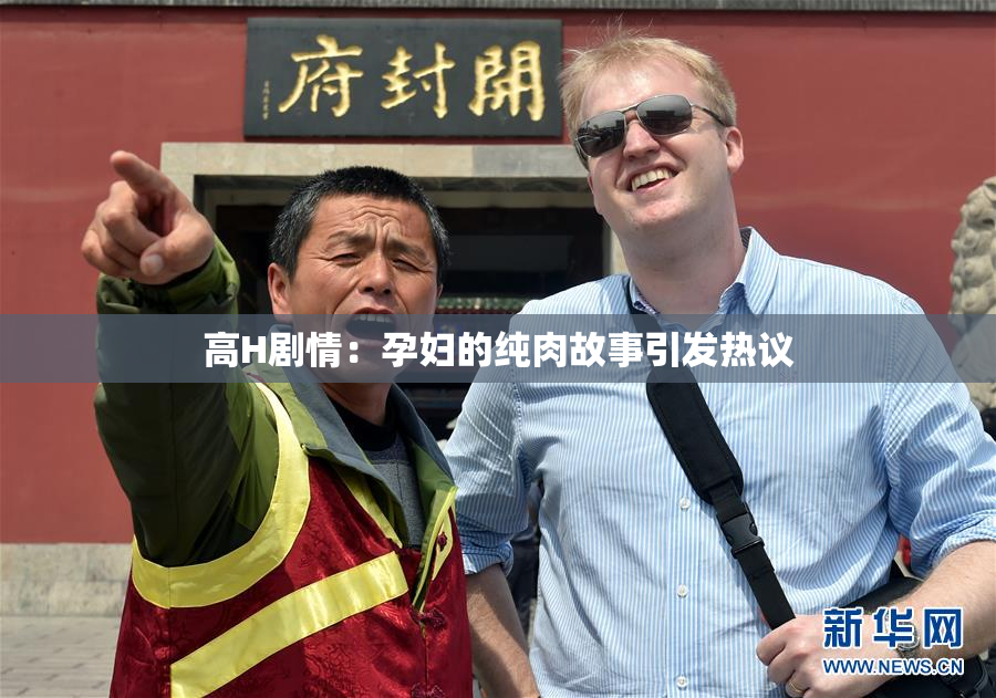 高H剧情：孕妇的纯肉故事引发热议